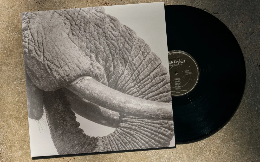 Crazy P Founders announce debut album “World Elephant Day” from their White Elephant Project 
